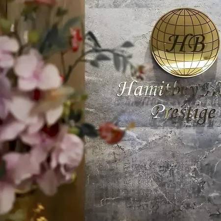 Nl Amsterdam איסטמבול